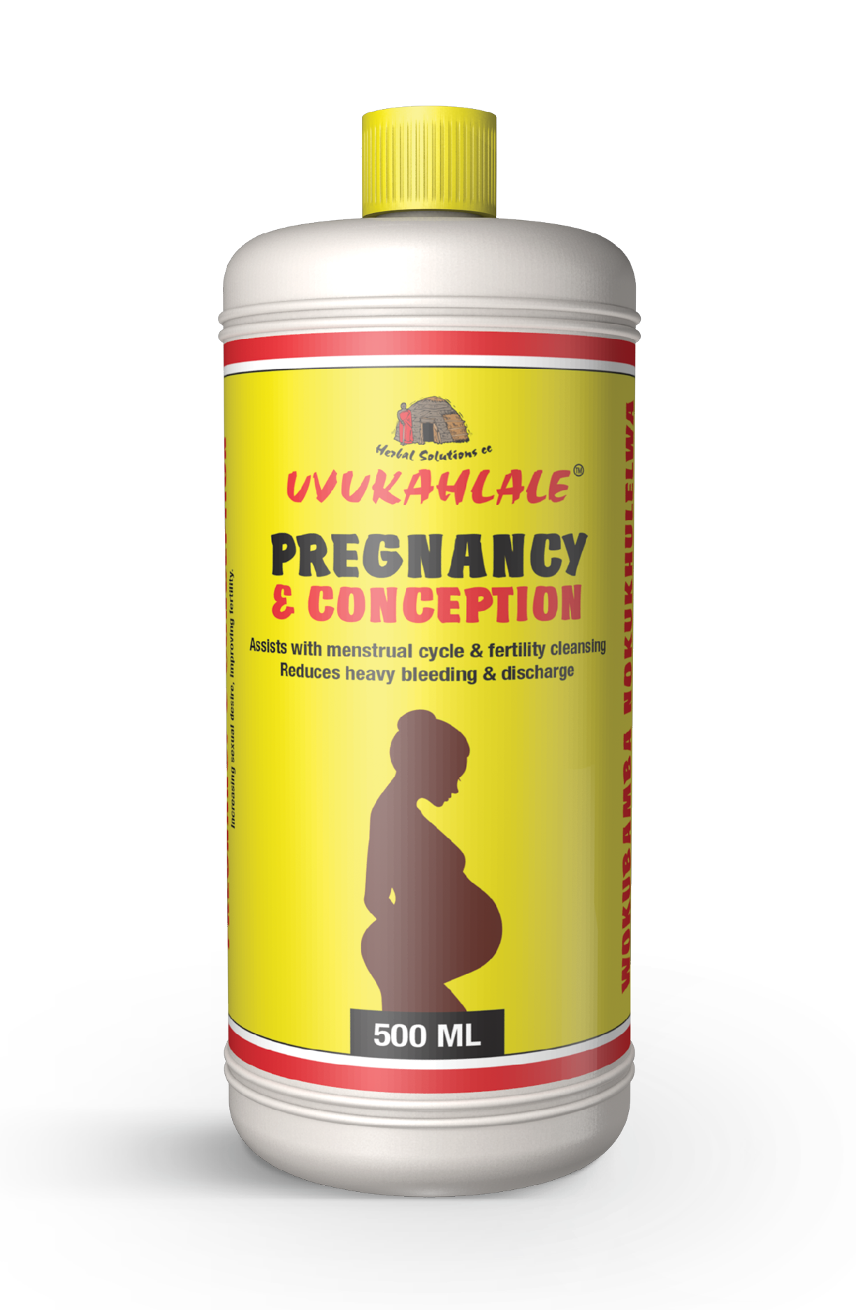PREGNANCY-AND-CONCEPTION